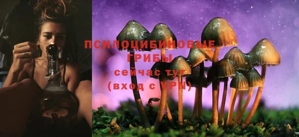 амф Магадан