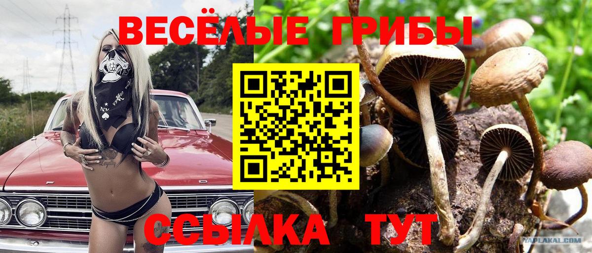 Галлюциногенные грибы мицелий Тюмень